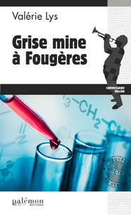 Grise mine à Fougères