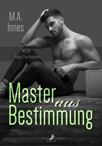 Master aus Bestimmung