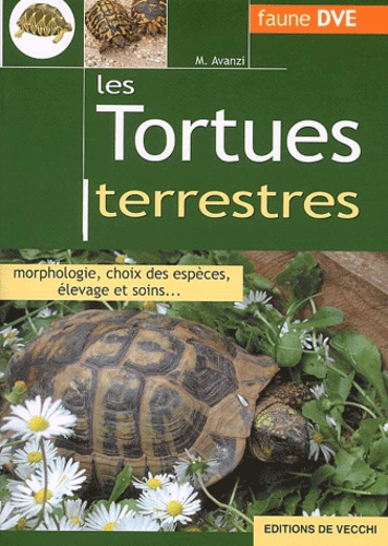 M Avanzi - Les Tortues Terrestres.