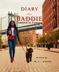 Diary of a Baddie:Fumbled to Famous