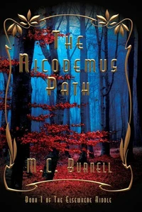 The Nicodemus Path
