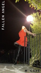 Fallen Angel