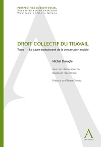 M. Davagle - Droit collectif du travail - 1 le cadre institutionnel de la concertation sociale.