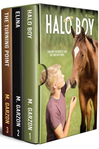 Blaze of Glory Companion Books Box Set