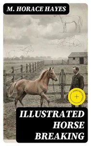 Illustrated Horse Breaking