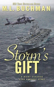 Storm’s Gift: a military romantic suspense story