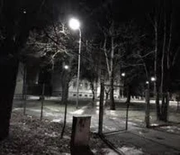 Murder in the School Yard