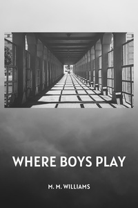  M.M. Williams - Where Boys Play - Short Stories by M.M. Williams, #1.