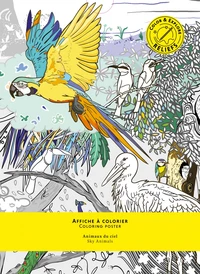Affiche à colorier Animaux du ciel
