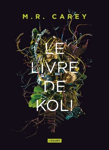 Rempart Tome 1 Le livre de Koli