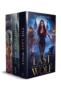 Moonshifter Academy Boxset: A Wolf Shifter Academy Romance (Moon Shifter Academy)