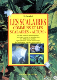 M Salvadori - Les scalaires communs et les scalaires altum.