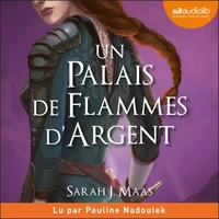 Un palais de flammes d'argent