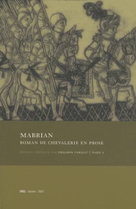 Roman de chevalerie en prose