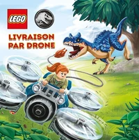 Livraison par drone