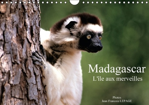 Madagascar l'île aux merveilles. Calendrier mural A4 horizontal 2016 - Occasion