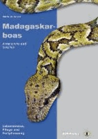 Madagaskarboas - Acrantophis und Sanzinia - Lebensweise, Pflege und Fortpflanzung.