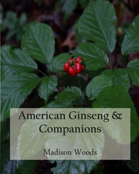 American Ginseng &amp; Companions