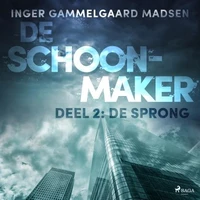 De Schoonmaker 2 - De sprong