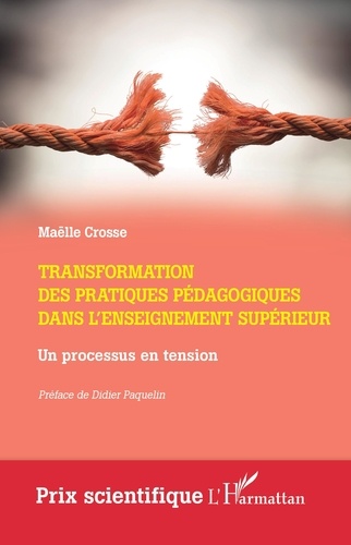 Maëlle Crosse - Transformation des pratiques pédagogiques dans l'enseignement supérieur - Un processus en tension.