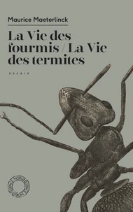 La vie des fourmis / La vie des termites