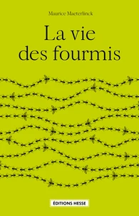 La vie des fourmis