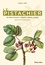 Le pistachier. Un arbre d'avenir, histoire culture, cuisine