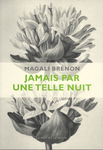 Magali Brénon - Jamais par une telle nuit.