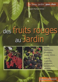 Comment cultiver et récolter les fruits rouges