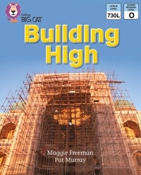 Maggie Freeman et Cliff Moon - Building High - Band 11/Lime.