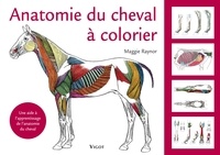 Maggie Raynor - Anatomie du cheval à colorier - Une aide à l'apprentissage de l'anatomie du cheval.