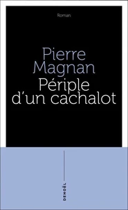 Périple d'un cachalot