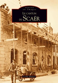 Le canton de Scaër