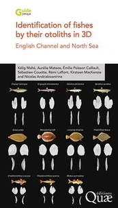 Identification of fishes by their otoliths in 3D
