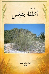 الحلفاء بتونس