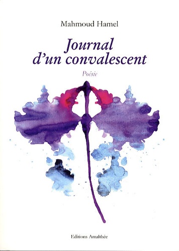 Mahmoud Hamel - Journal d'un convalescent.