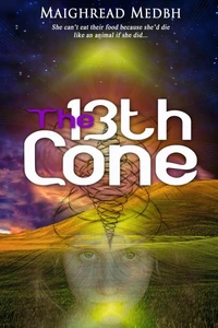 The 13th Cone