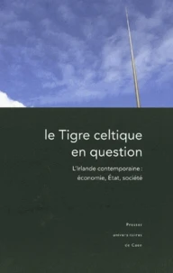 Le tigre celtique en question