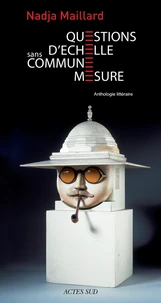 Questions d'échelle