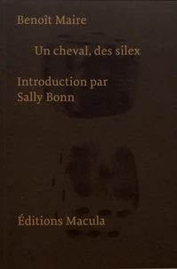 Un cheval, des silex