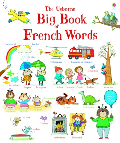 Mairi Mackinnon - Big book of french words.