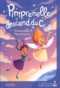 Pimprenelle descend du ciel