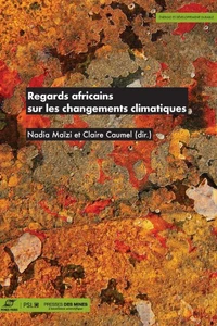Regards africains sur les changements climatiques