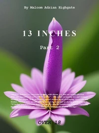 Thirteen Inches Part 2