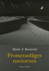 Malek Boukerchi - " Promenadâges " nocturnes.