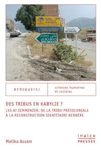 Des tribus en Kabylie ?