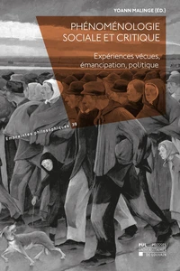 Phénoménologie sociale et critique