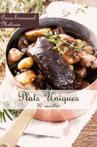 Plats uniques