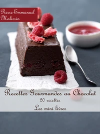Recettes Gourmandes au chocolat
