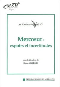 Mercosur : espoirs et incertitudes